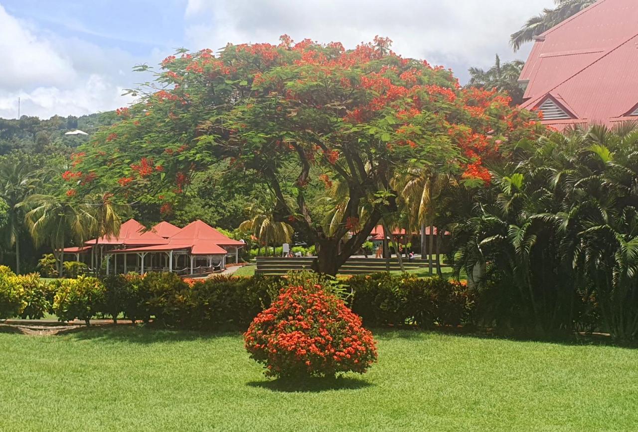 Ti Oasis Trinidad, Studio Vue Mer A Pierre & Vacances سانت لوسي المظهر الخارجي الصورة