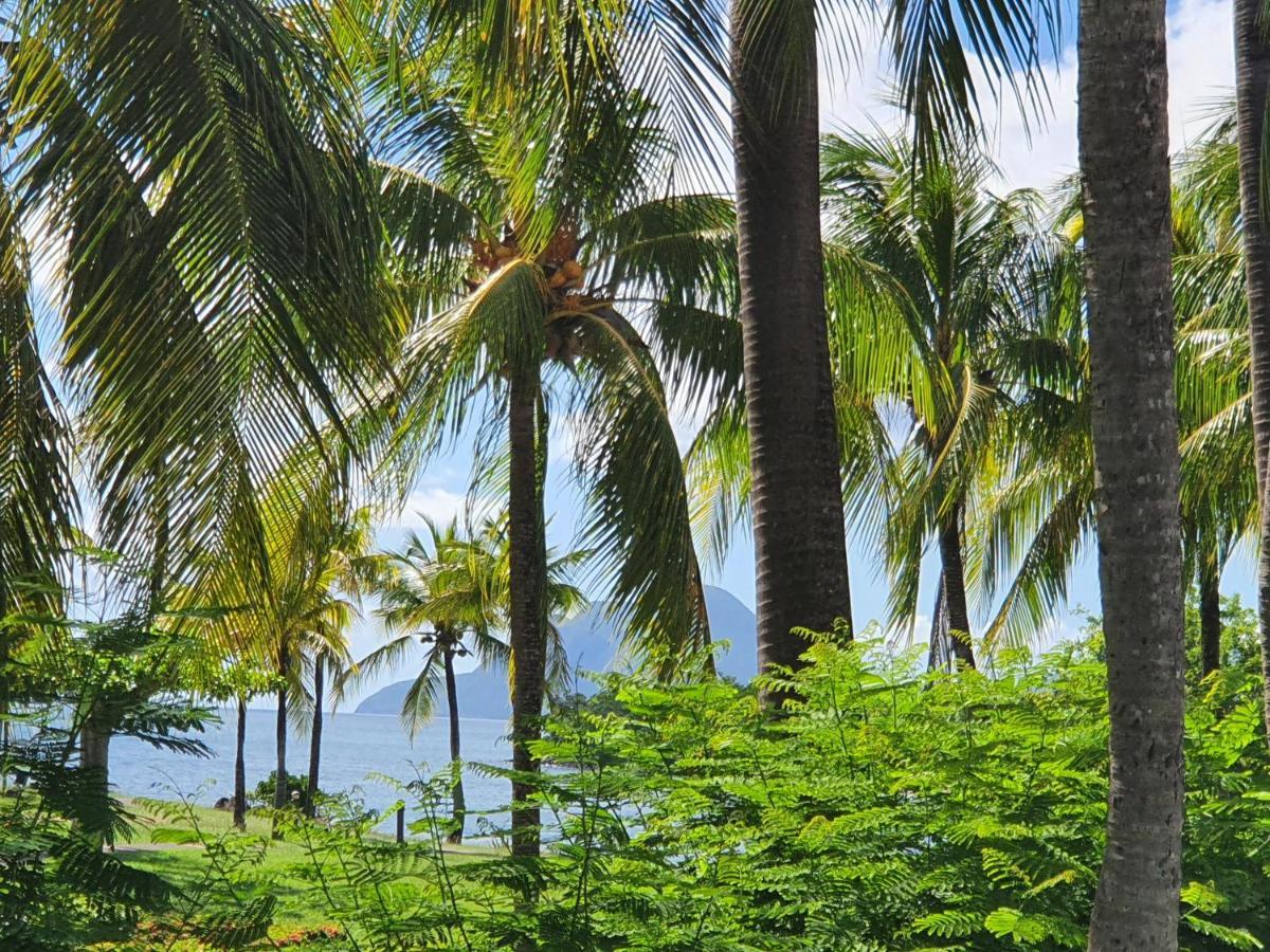 Ti Oasis Trinidad, Studio Vue Mer A Pierre & Vacances سانت لوسي المظهر الخارجي الصورة